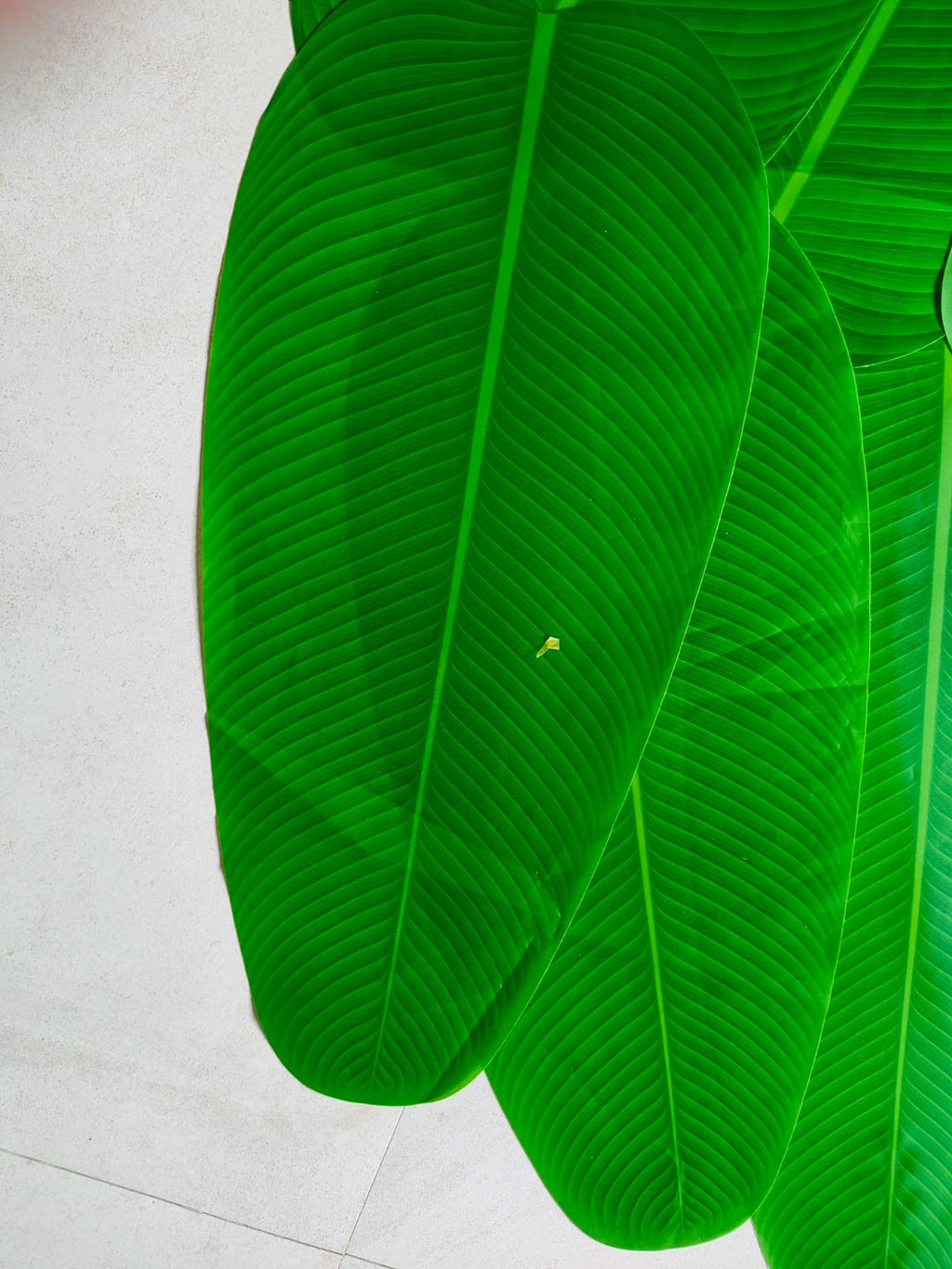 Banana Leaf Decor (6 pcs)