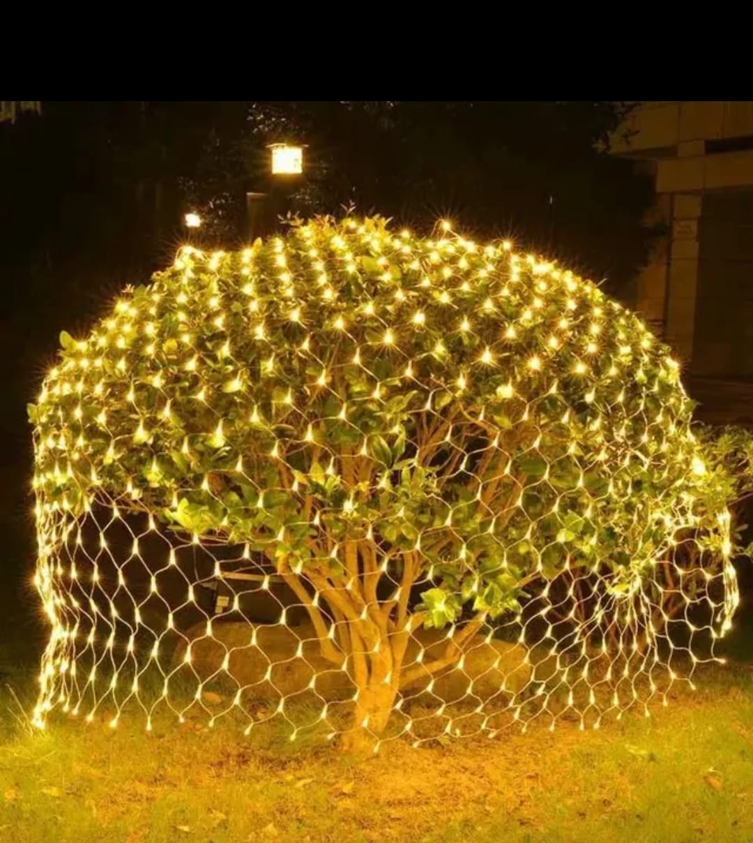Warm white 240 LED net lights outdoor display