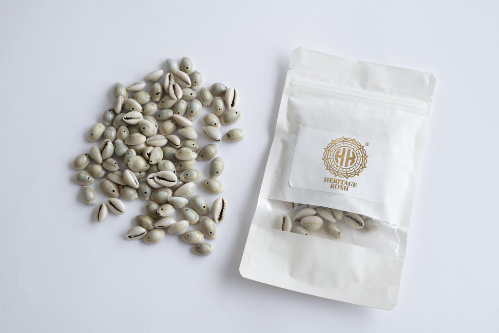 Cowrie shells for DIY projects