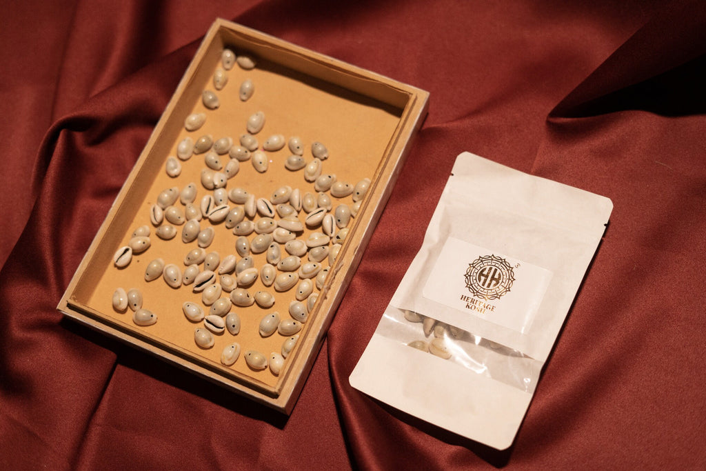 Cowrie shells for DIY projects